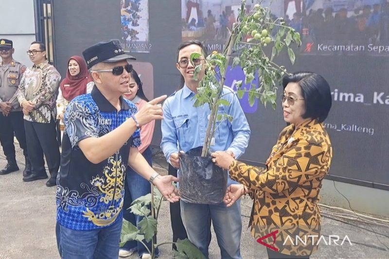 Pemkab Gumas Padukan Dua Strategi Intervensi Tekan Stunting, Bibit Cabai hingga Tablet Tambah Darah Disalurkan