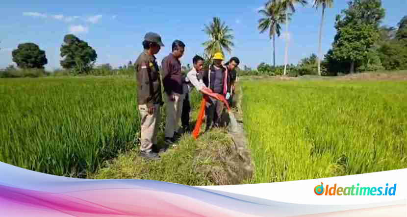 Pemprov Sulsel Kerahkan 300 Pompa Air dan 100 Sumur Bor Selamatkan Sawah di 24 Kabupaten-Kota dari Kekeringan