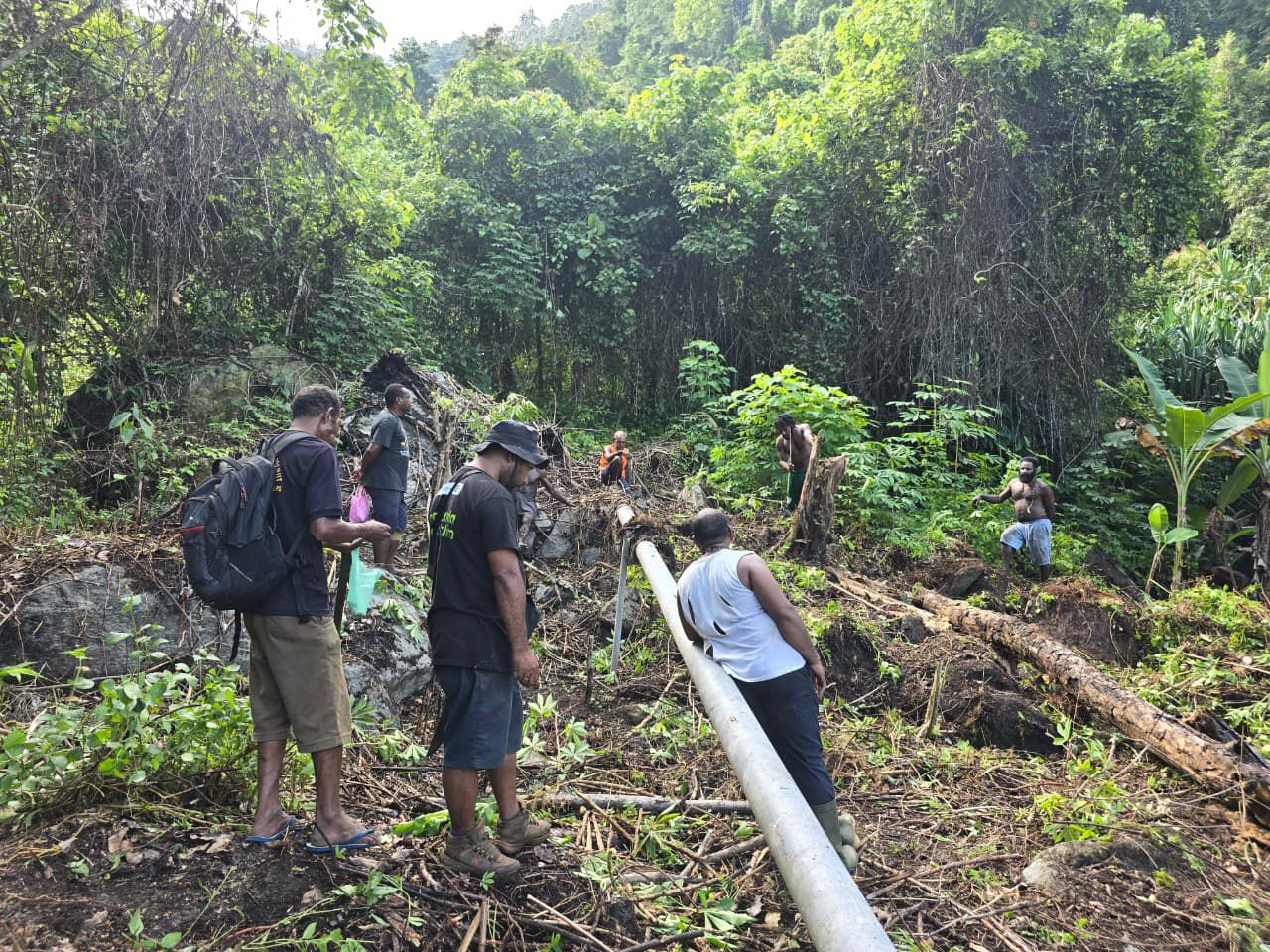 Masyarakat Adat Temukan Enam Bukaan Lahan Ilegal di Cagar Alam Cycloop Papua, Kebun Labu Siam Tersembunyi di Atas Kepala Air Terjun