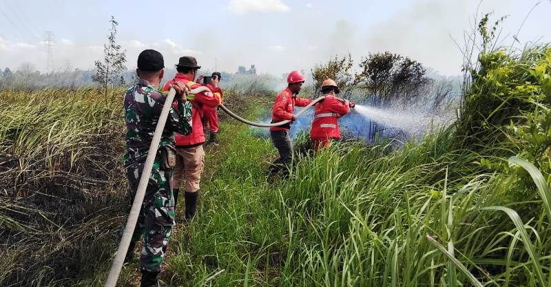 Tim Gabungan Padamkan Karhutla di Lahan Gambut Ogan Ilir Seluas 2 Hektare, Bara Api Masih Didingsinkan