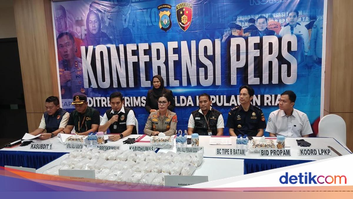 Polda Kepri Gagalkan Penyelundupan 100 Ribu Benih Lobster di Batam, Dua Kurir Dibekuk dengan Upah Rp 2,5 Juta per Koper