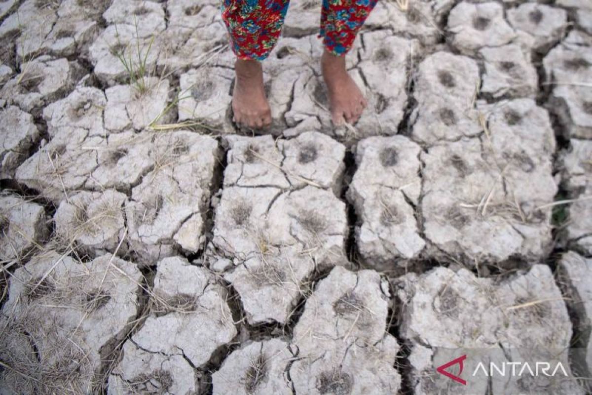 El Nino Kuat Keringkan Sumsel Hingga September 2026, Ini Dampaknya bagi Wilayah Palembang dan Sekitarnya