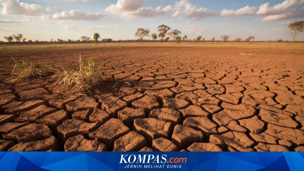 Setelah Juni Nihil, Empat Karhutla Muncul di Lampung pada Juli 2026 — BPBD: Pemicu Didominasi Aktivitas Manusia