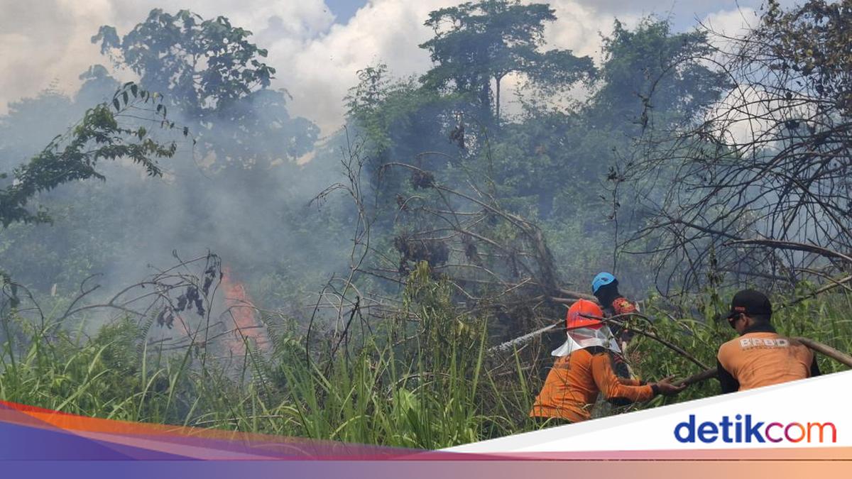 17 Kebakaran Hanguskan 26 Hektare Lahan di Lamandau hingga Juli 2026, BPBD Catat Semua Berasal dari Tanah Mineral