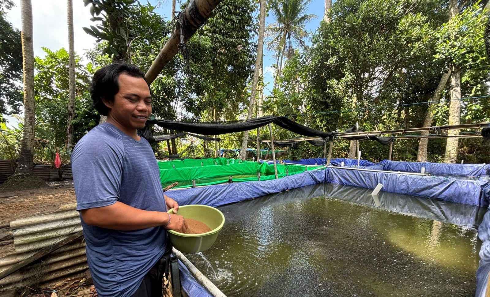 Pembibit Lele di Badung Andalkan KUR BRI, Kapasitas Produksi Naik Jadi 360 Ribu Ekor per Siklus