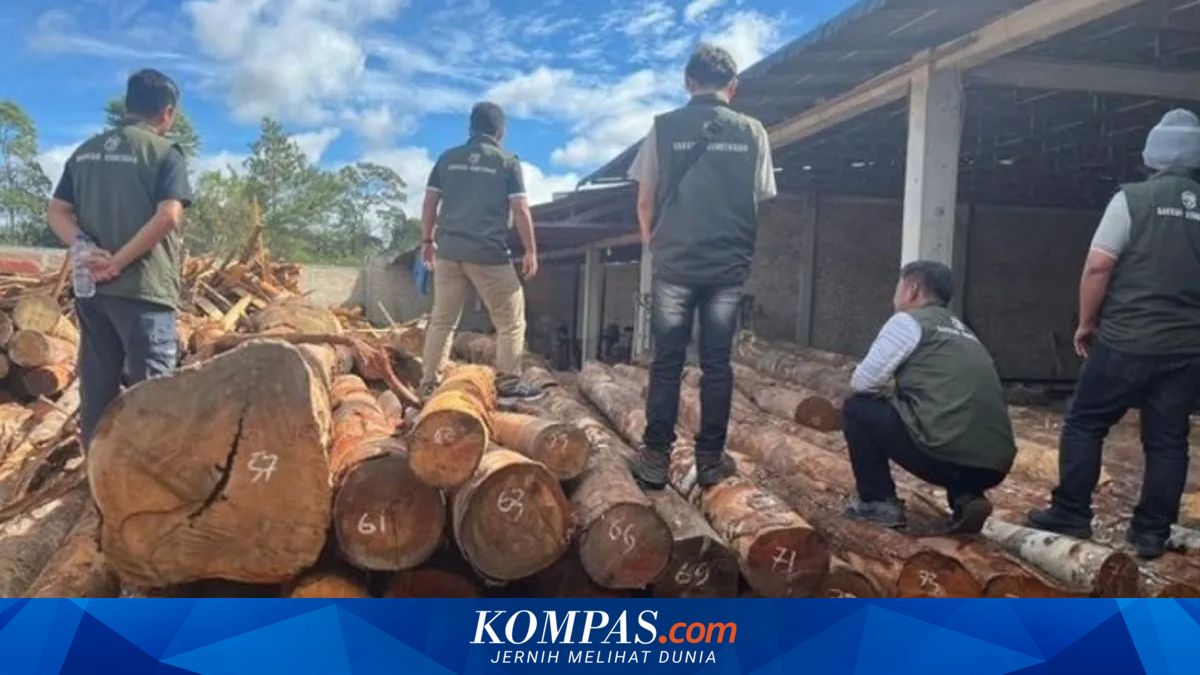 Operasi Kemenhut di Humbang Hasundutan Amankan 219 Batang Kayu Log Ilegal, Digerebek di Desa Aek Lung