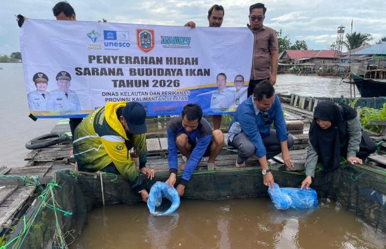 Pemprov Kalsel Salurkan Bantuan Budidaya Ikan Gabus di Batola untuk Kembangkan Haruan Estate