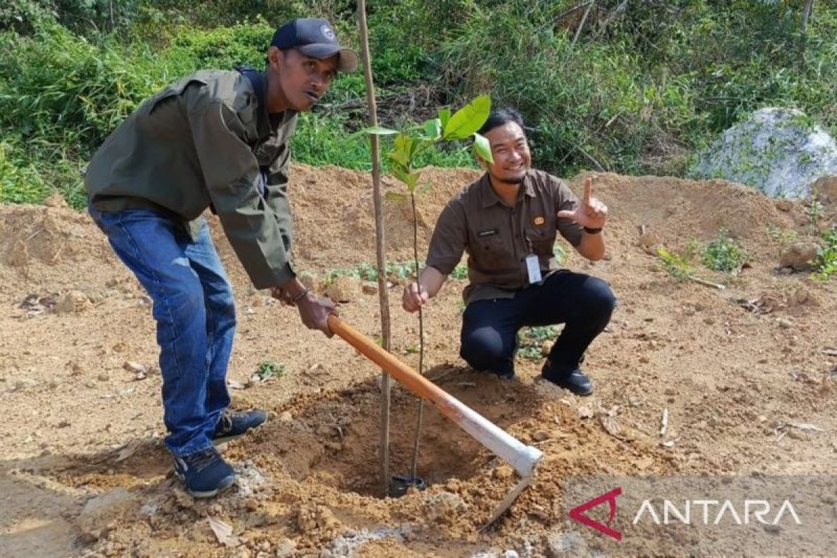 DLH Pangkalpinang Tanam 650 Pohon Endemik di Taman Dealova, Cegah Punah Akibat Alih Fungsi Lahan