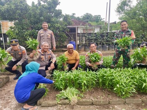 Wadir Binmas Polda Lampung Tinjau Program Pekarangan Bergizi di Terbanggi Besar, Dorong Ketahanan Pangan Keluarga
