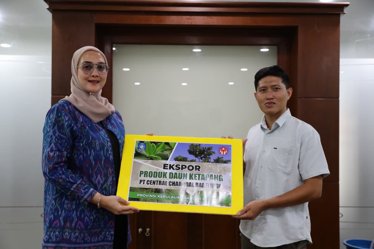 Daun Ketapang Kering Tembus Pasar AS hingga Jepang, Dekranasda Babel Siap Dukung Ekspor ke Level Global