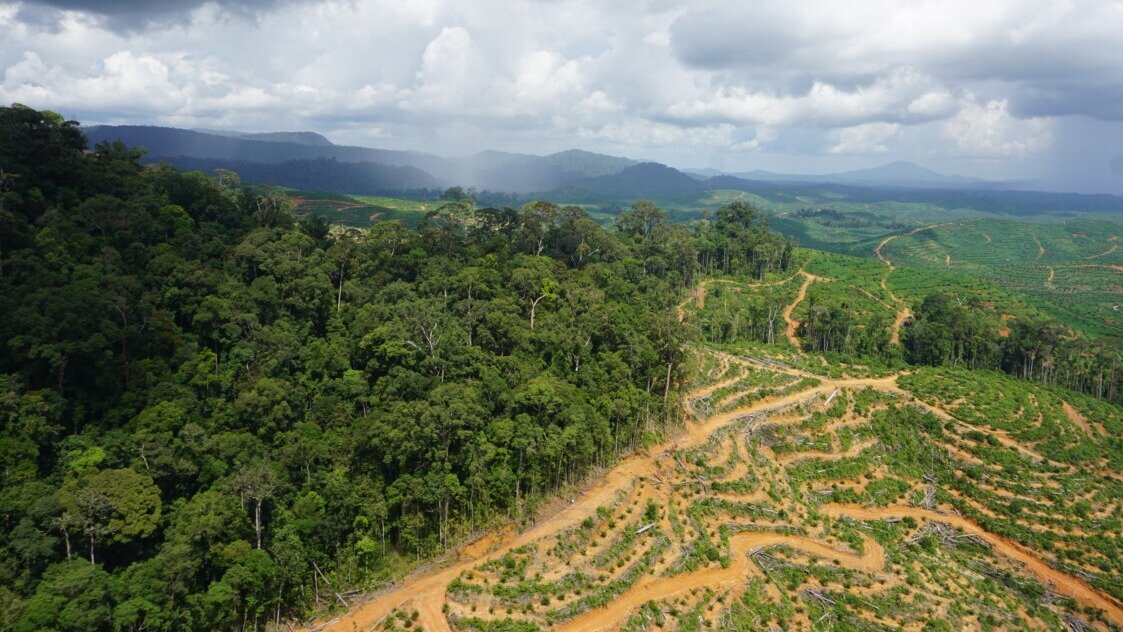 Perubahan Iklim dan Deforestasi Jadi Perhatian Utama DLH Kaltara dalam Rancangan RPJMD 2026-2031
