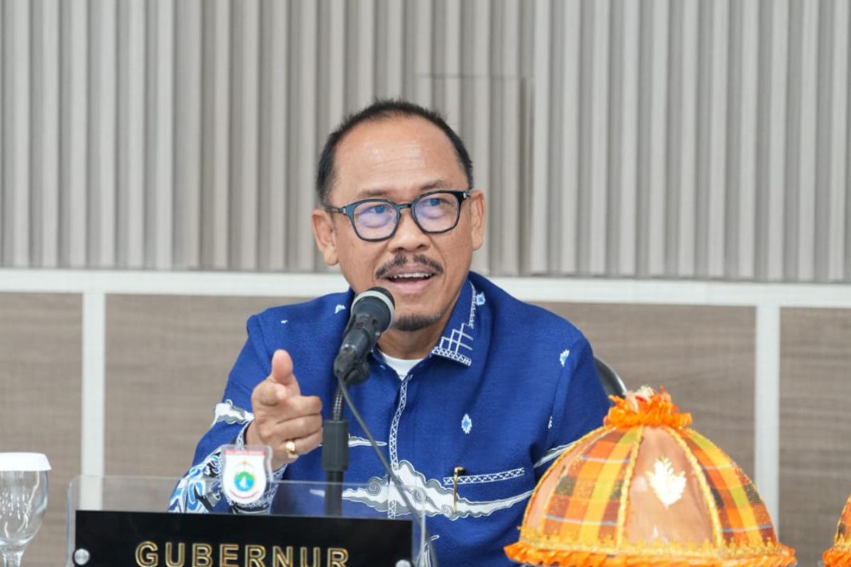 Sulbar Siapkan Pilot Proyek Hilirisasi Logam Tanah Jarang di Mamuju, 3 Blok Tambang dengan Kandungan 4.571 ppm