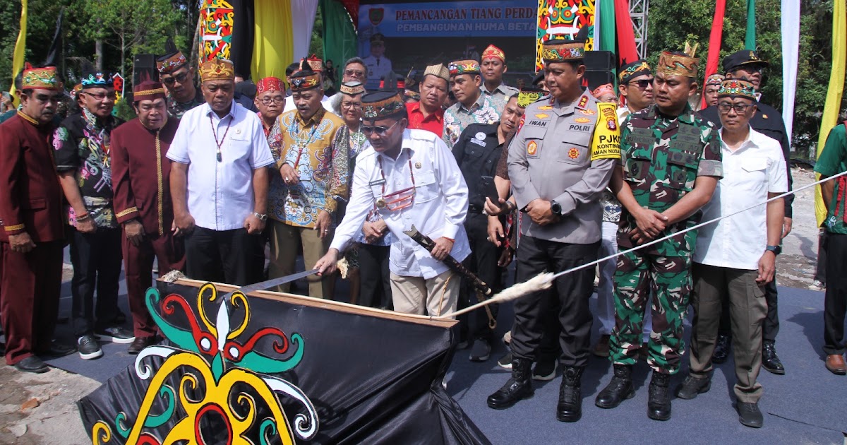 Huma Betang Terbesar di Dunia Mulai Dibangun di Kalteng, 90 Persen Material Pakai Kayu Ulin
