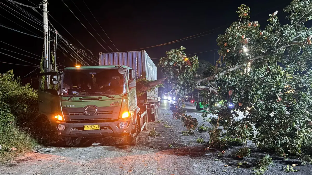 Truk Kontainer Tertimpa Pohon Tumbang di Jalur Denpasar–Gilimanuk, Lalu Lintas Sempat Lumpuh Total di Mendoyo