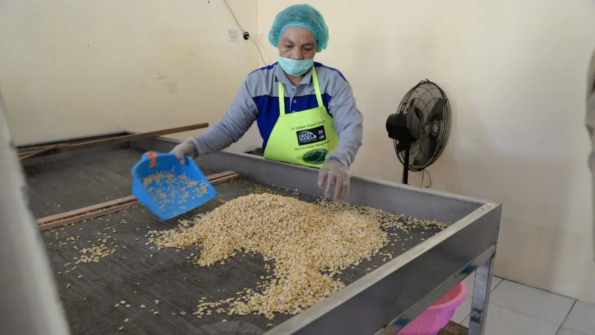 Harga Kedelai dan Plastik Meroket, Perajin Tempe di Bogor Keluhkan Biaya Produksi Membengkak, Minta Pemerintah Turun Tangan