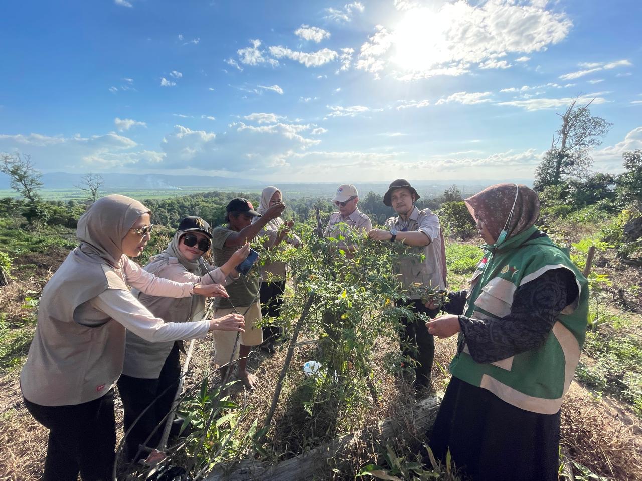 Tani Merdeka Kendari Turun ke Lahan di Baruga, Petani Minta Bibit Hingga Irigasi Disiapkan Pemerintah