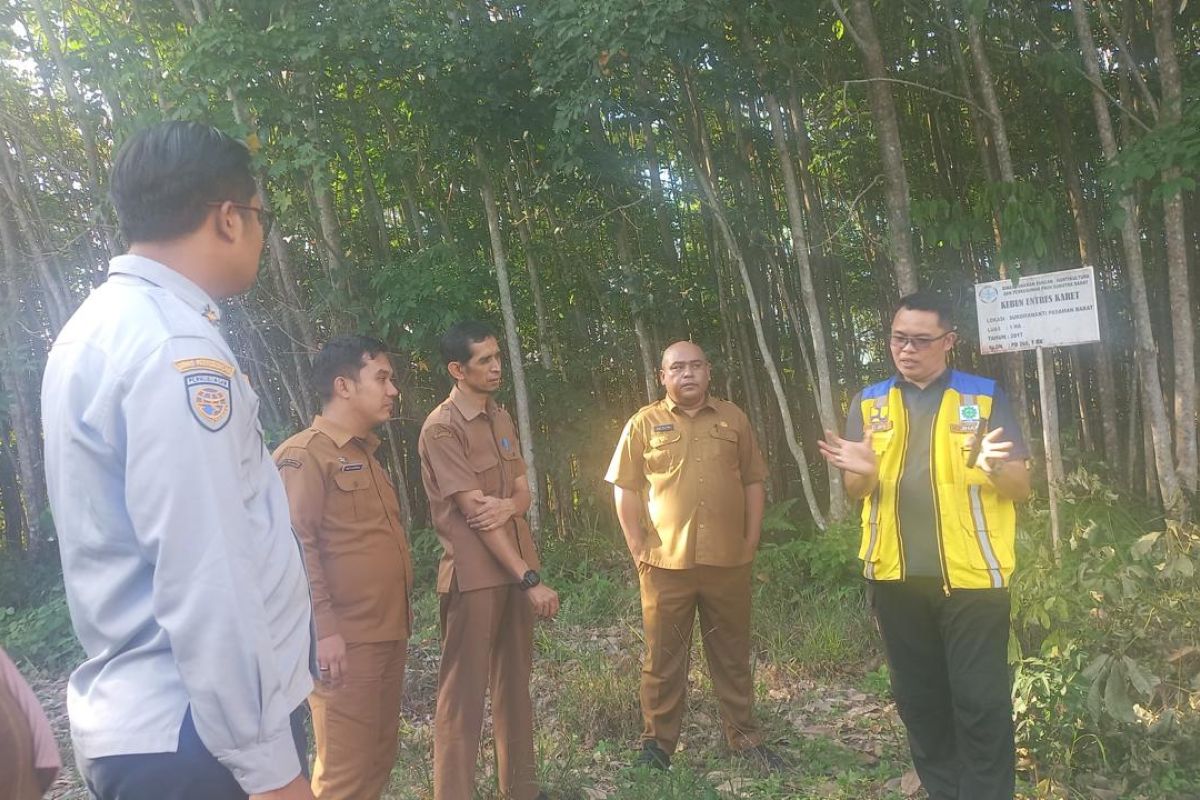 Pemkab Pasaman Barat Masih Menunggu Surat Penghapusan Aset Karet demi Pembangunan Sekolah Rakyat Padang Tujuh