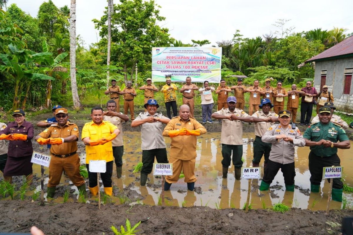 Sektor Pertanian Masih Dominasi Tenaga Kerja di Papua, Tembus 93 Persen di Papua Pegunungan