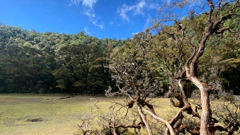 Poco Likang Manggarai Dibanjiri Wisatawan, BBKSDA NTT Akui Belum Kantongi Kajian Dampak Lingkungan