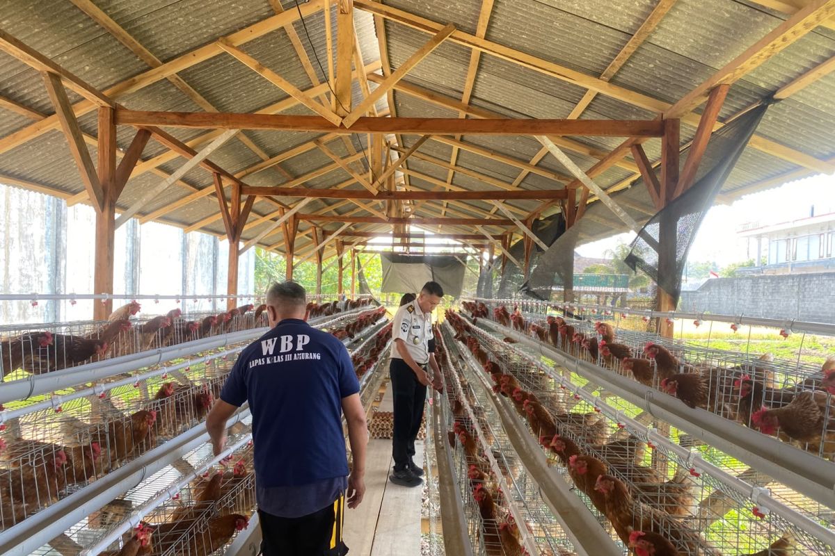 Lapas Amurang Bekali Warga Binaan Keterampilan Budidaya Ayam Petelur untuk Bekal Usaha Mandiri