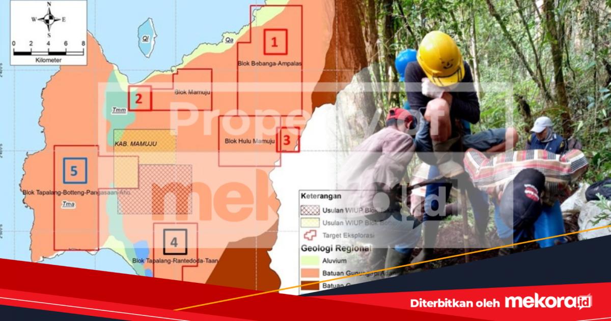 Potensi Logam Tanah Jarang di Mamuju Dipetakan di 5 Blok Seluas 27 Ribu Hektar, Pemerintah Siapkan Proyek Hilirisasi