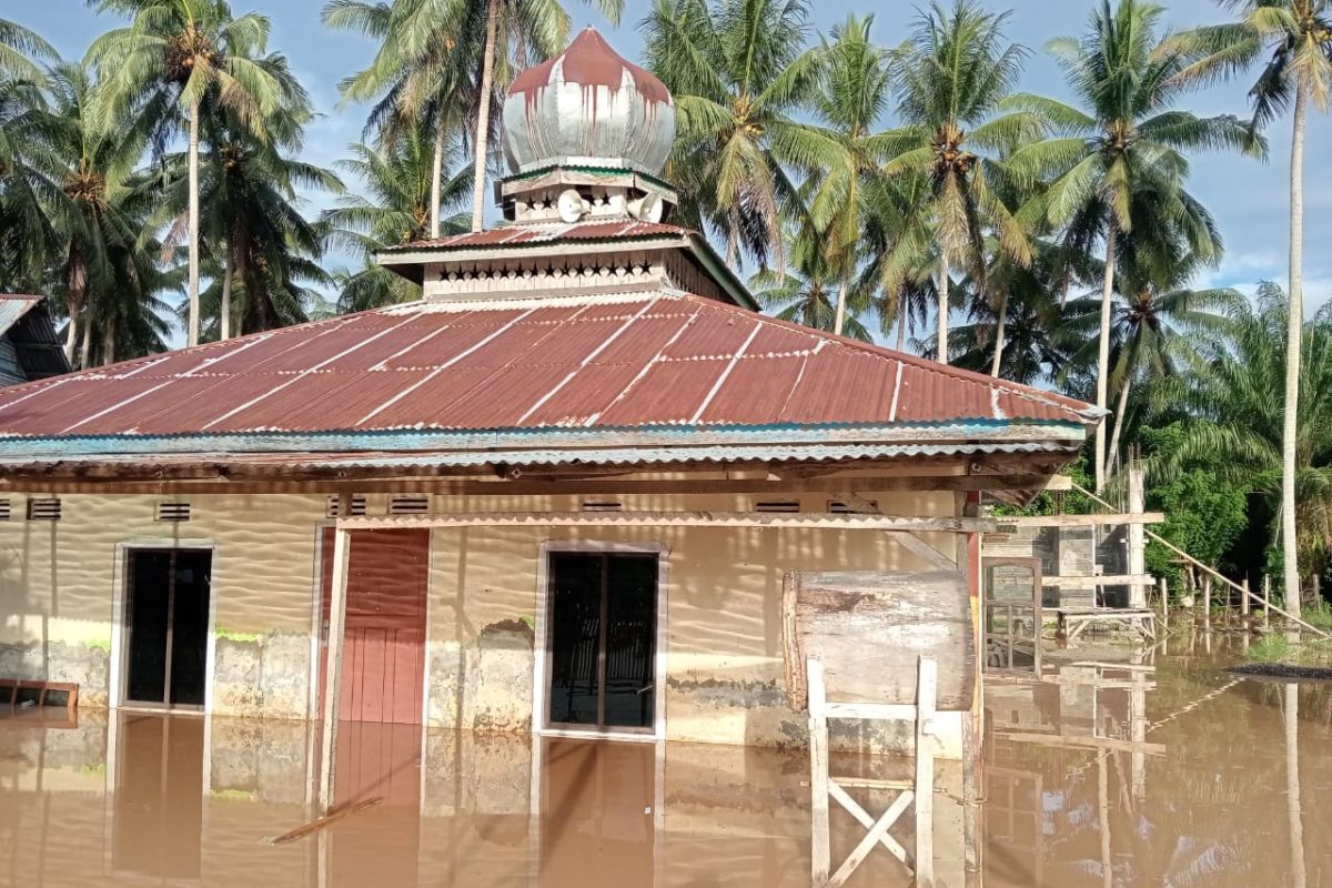 Banjir Rendam Empat Desa di Buol Sulawesi Tengah, Ratusan Rumah Terendam dan Jembatan Penghubung Putus