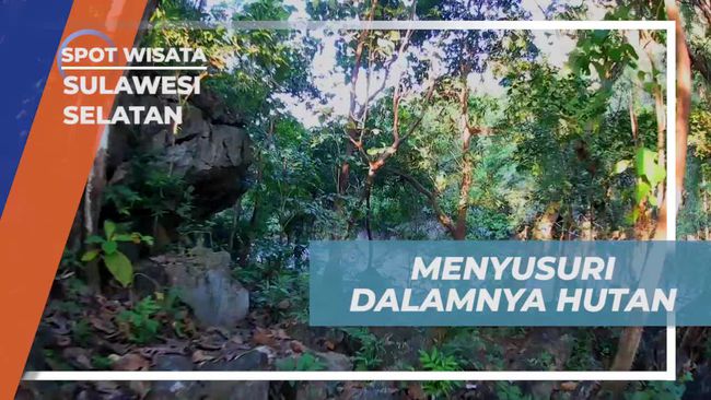 Menyusuri Hutan Desa Kading untuk Cari Kayu Bakar, Pengalaman Bareng Warga Lokal