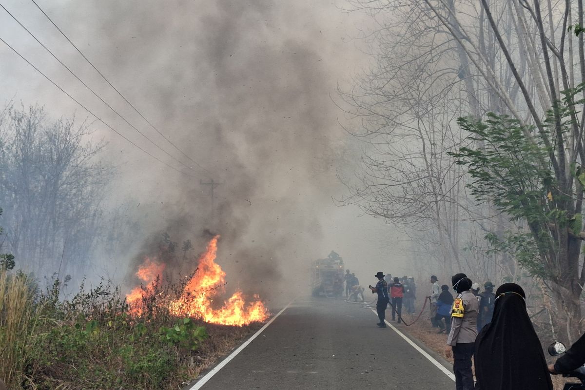 Polisi, Damkar, dan Warga SBT Padamkan Karhutla 2 Hektare di Desa Salas Bula