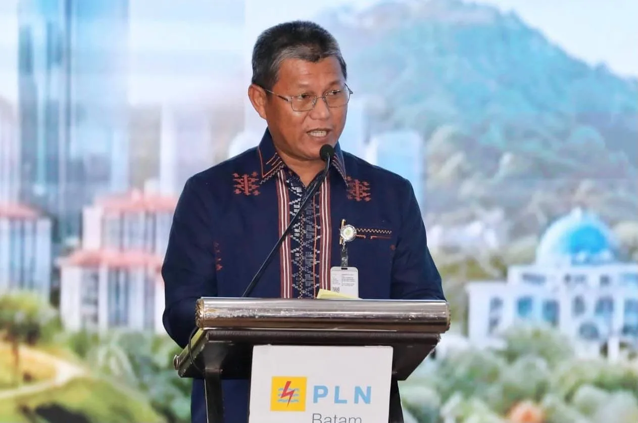Kerja Sama dengan Swedia, Batam Tambah Pasokan Listrik 300 Megawatt untuk Industri dan Data Center