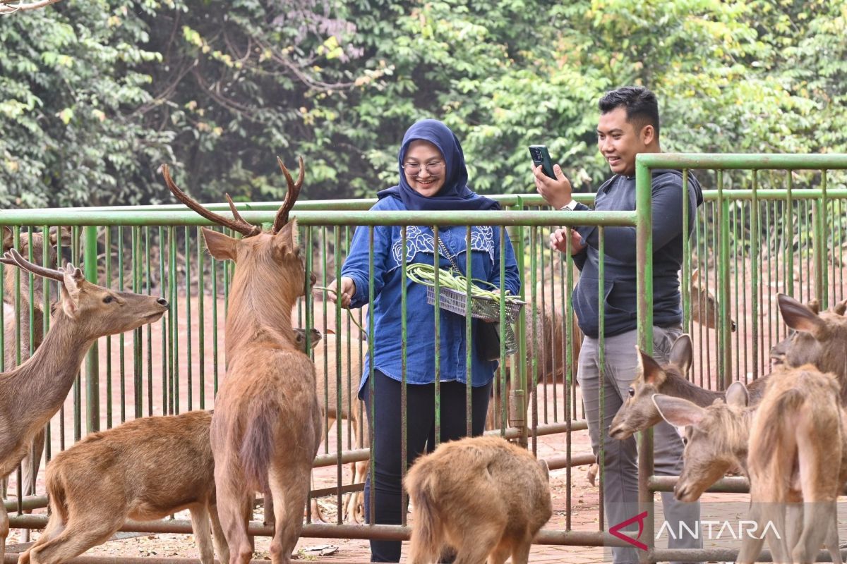 Dishut Kalsel Evaluasi Pengelolaan Tahura Sultan Adam, Perkuat Perlindungan Habitat Rusa hingga Beruang Madu