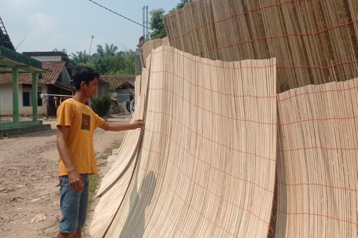 Musim Kemarau, Omzet Perajin Tirai Sawit di Lebak Naik 100 Persen Jadi Rp 60 Juta Per Pekan