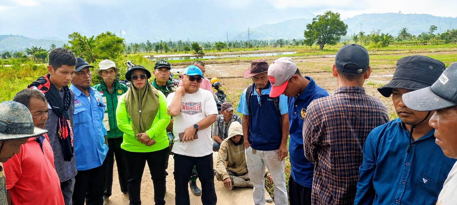 Kadis Pertanian Madina Turun ke Sawah Siabu Buru Hama Tikus yang Serang 60 Hektare Lahan Petani