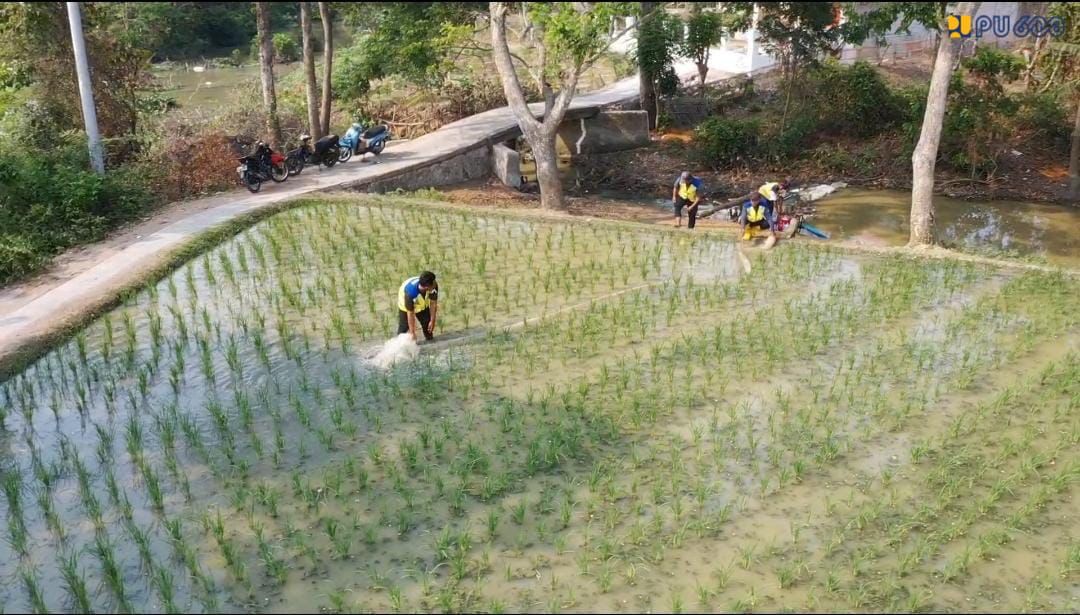 Hadapi Kekeringan, Menteri PU Dody Hanggodo Selamatkan 141.440 Ha Sawah dan Penuhi Kebutuhan Air Bagi 1,75 Juta Jiwa