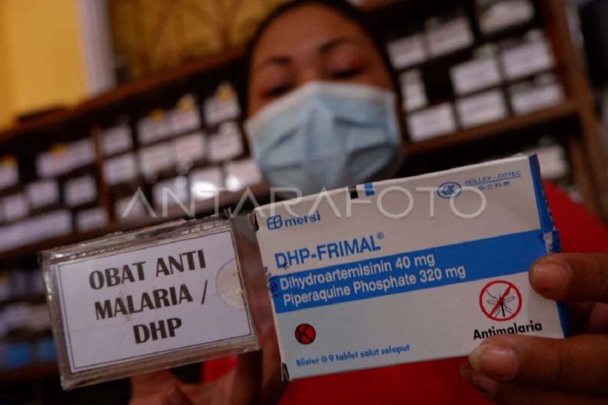 Dinkes Kaltim Petakan Dua Kabupaten Endemis Malaria, Target Bebas Penularan Sebelum 2030