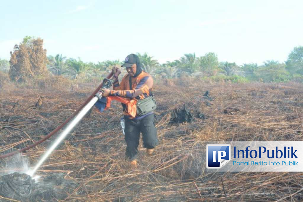 Kebakaran Hutan dan Lahan di Aceh Barat Capai 13 Hektare, Tim Gabungan Masih Lakukan Pendinginan