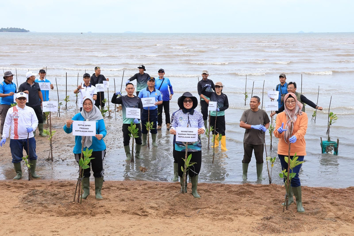 Peringati Hari Mangrove Sedunia 2026, Pemprov Kepri Tanam 1.000 Bibit Bakau di Pesisir Pulau Dombak