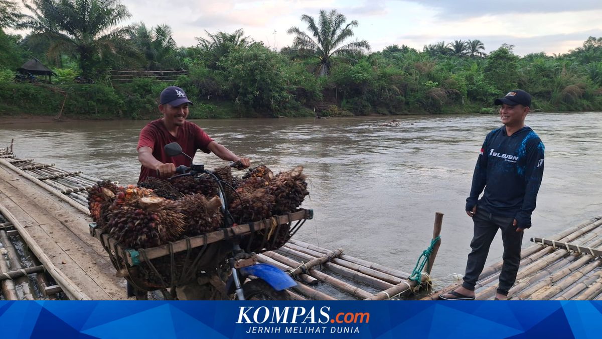 6 Gerakan Swadaya Warga Bengkulu Perbaiki Jalan dan Jembatan Rusak, dari Patungan Rp 10 Ribu hingga Rp 500 Ribu