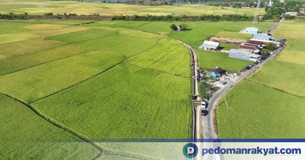 MYP 2025-2027 Pemprov Sulsel: 1.400 Km Jalan, 54.000 Hektare Irigasi, dan RS Regional Jadi Prioritas