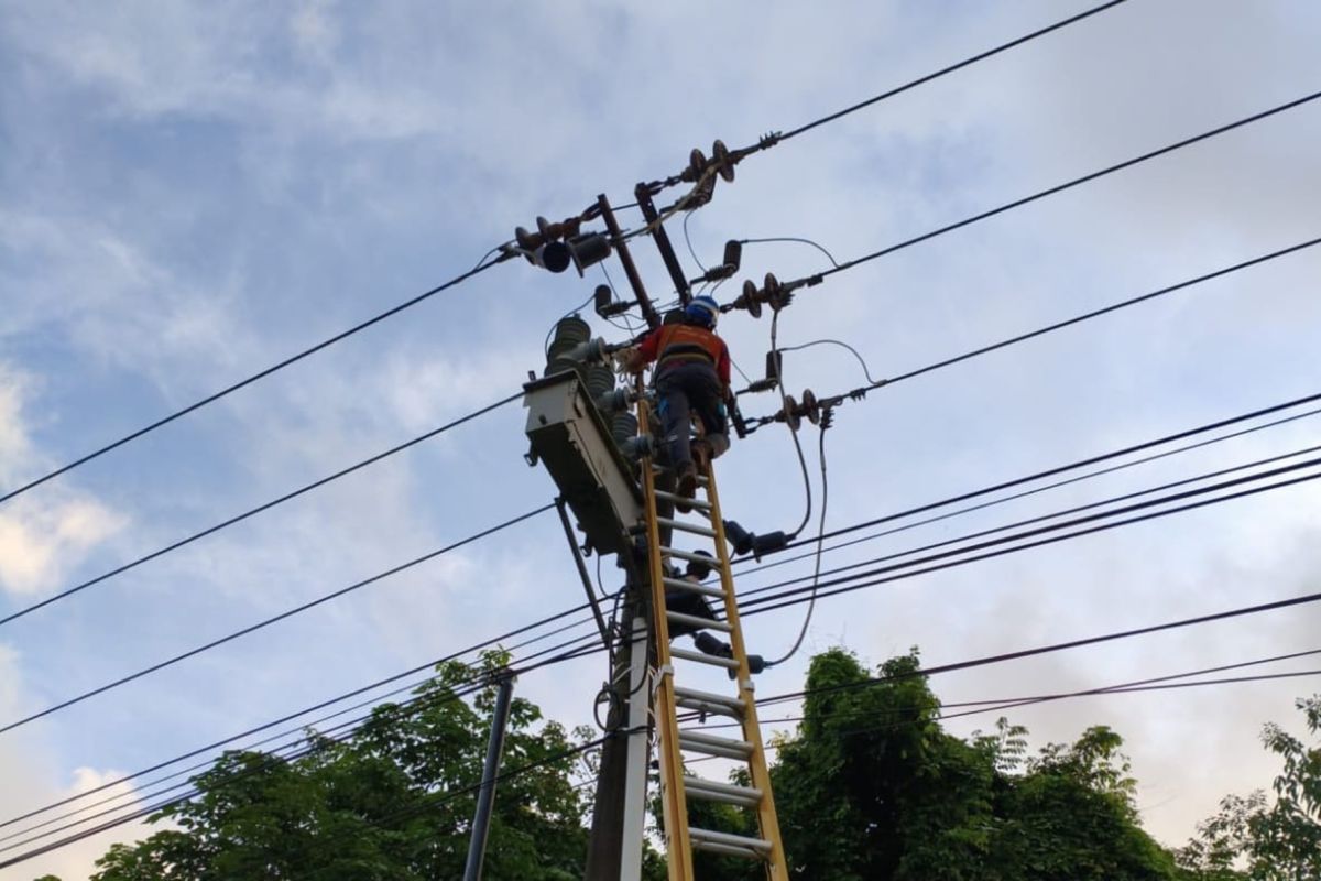 PLN Batam Jadwalkan Pemadaman Listrik 1 Jam di 4 Wilayah Hari Ini, Begini Cara Warga Laporkan Pohon Berbahaya