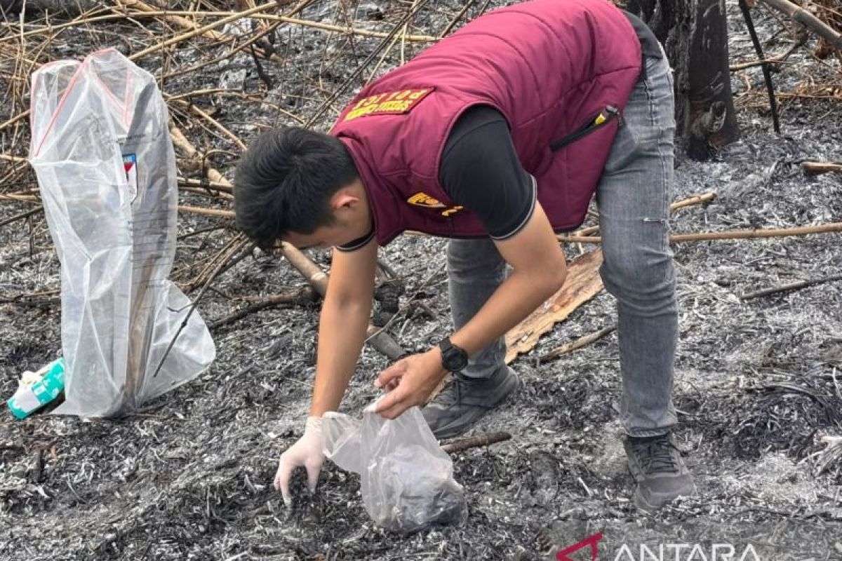 Polres OKU Selatan Selidiki Karhutla di Buay Pemaca, 1,5 Hektare Lahan Warga Terbakar