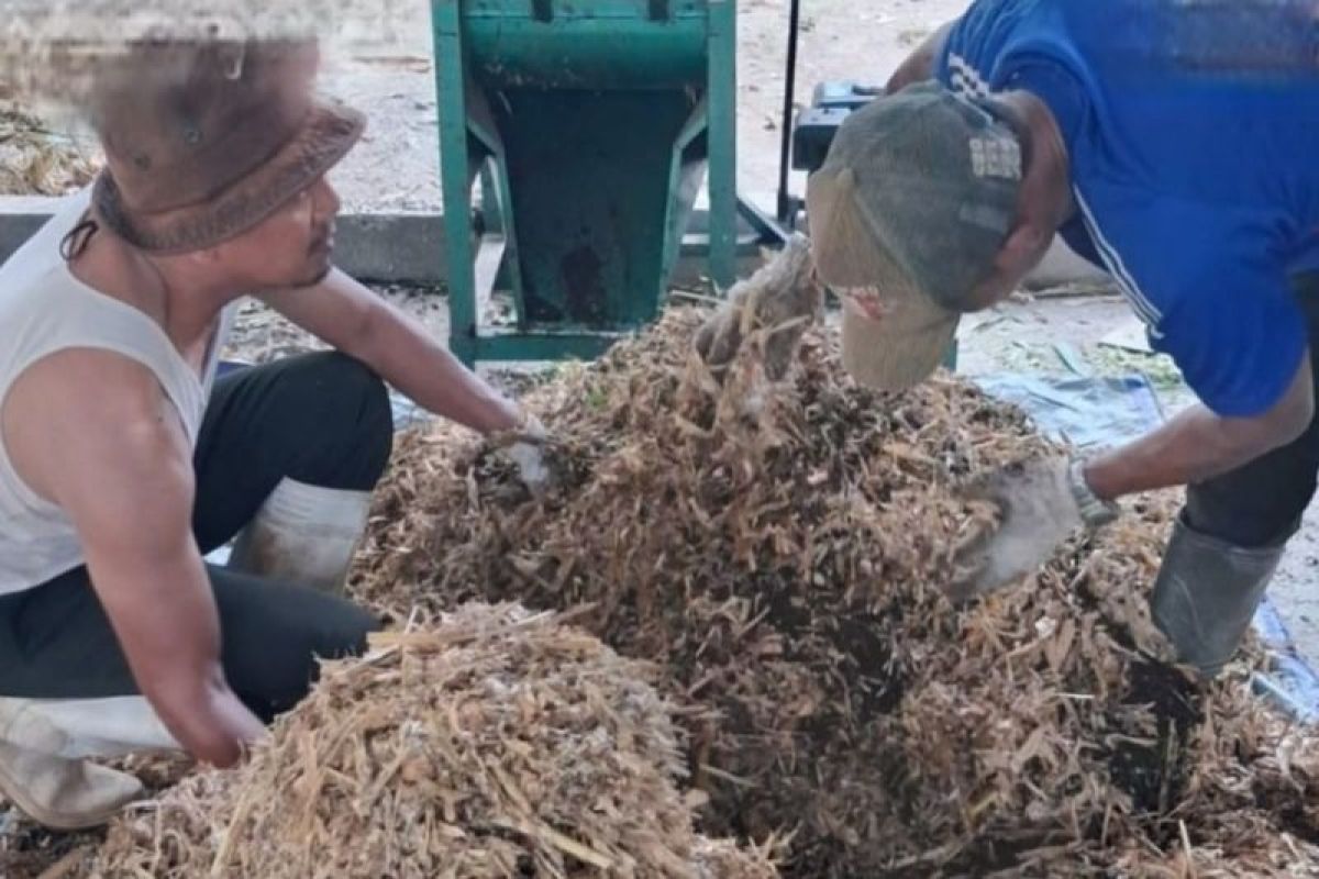 BKSDA Maluku Perkuat Deteksi Dini Zoonosis Satwa Liar Lewat Sistem Informasi SIZE dan Koordinasi Lintas Sektor