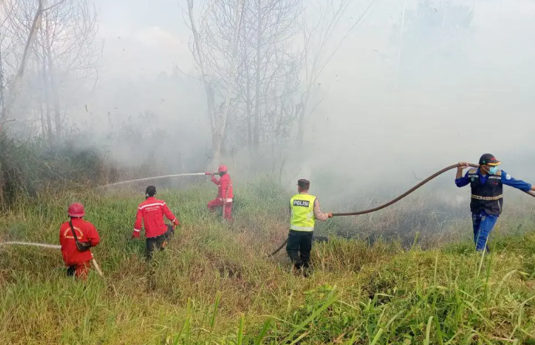 Ancaman Karhutla di Sumsel Makin Parah, 57 Hotspot Terdeteksi dan 301 Kebakaran Landa 305 Hektare Lahan