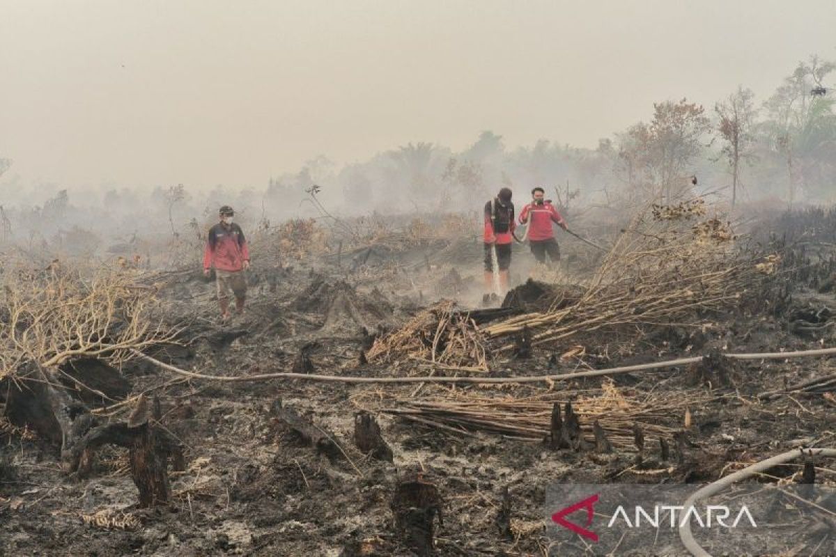 Titik Api Karhutla Bertambah di Palangka Raya, Operasi Pemadaman Diperkuat Armada Udara dan Darat