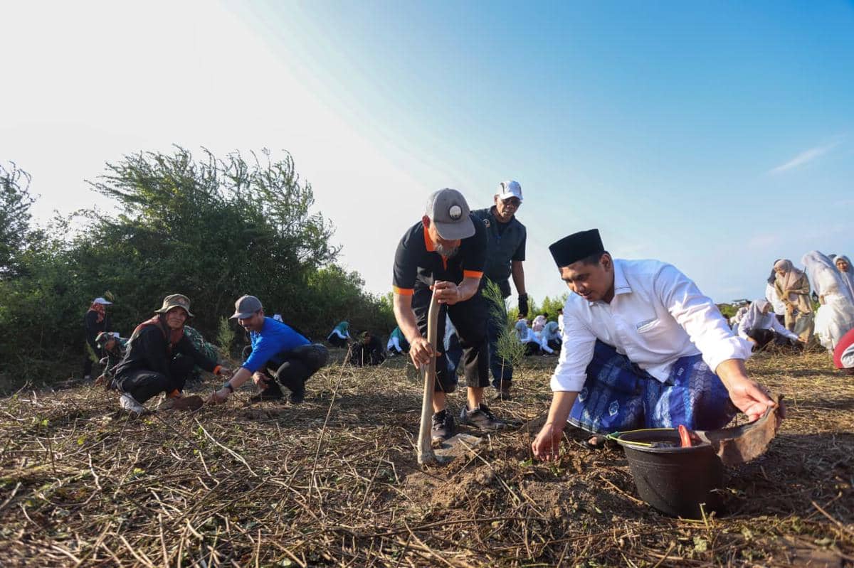 Santri Ponpes Al Anwar 4 Sarang Rembang Tanam 400 Bibit Mangrove dan 200 Ketapang di Pantai Temperak, Rayakan Kelulusan