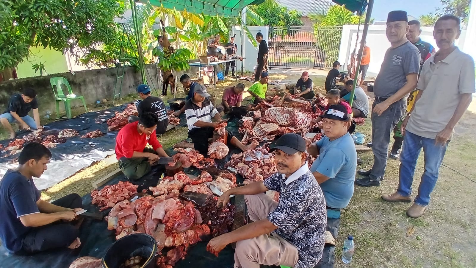 Warga Dusun Kommes di Bireuen Sembelih 19 Hewan Kurban, Tiga Ekor dari Bantuan Turkiye