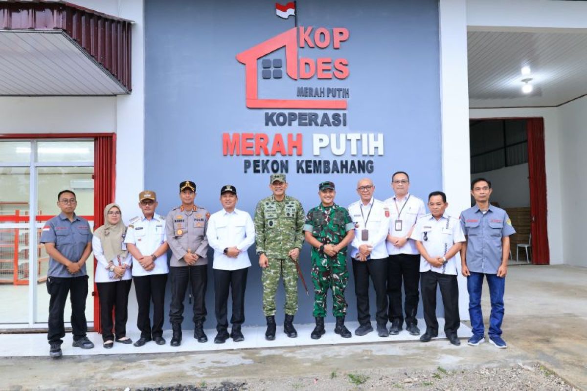 Bupati Lampung Barat Sebut 87 Koperasi Desa Merah Putih Siap Jadi Penggerak Ekonomi Mandiri, 16 Lokasi di Atas Aset Pemkab