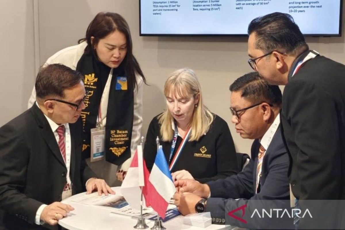 Wakil Ketua DPR RI Dasco Ahmad Ungkap Kunci Daya Saing Investasi Batam Bukan Pasar Besar, Tapi Kecepatan Izin