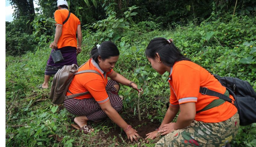Ratusan Pelajar dan Warga Tanam Pohon di Pura Puseh Puakan, Gianyar, sebagai Wujud Nyata Tumpek Wariga