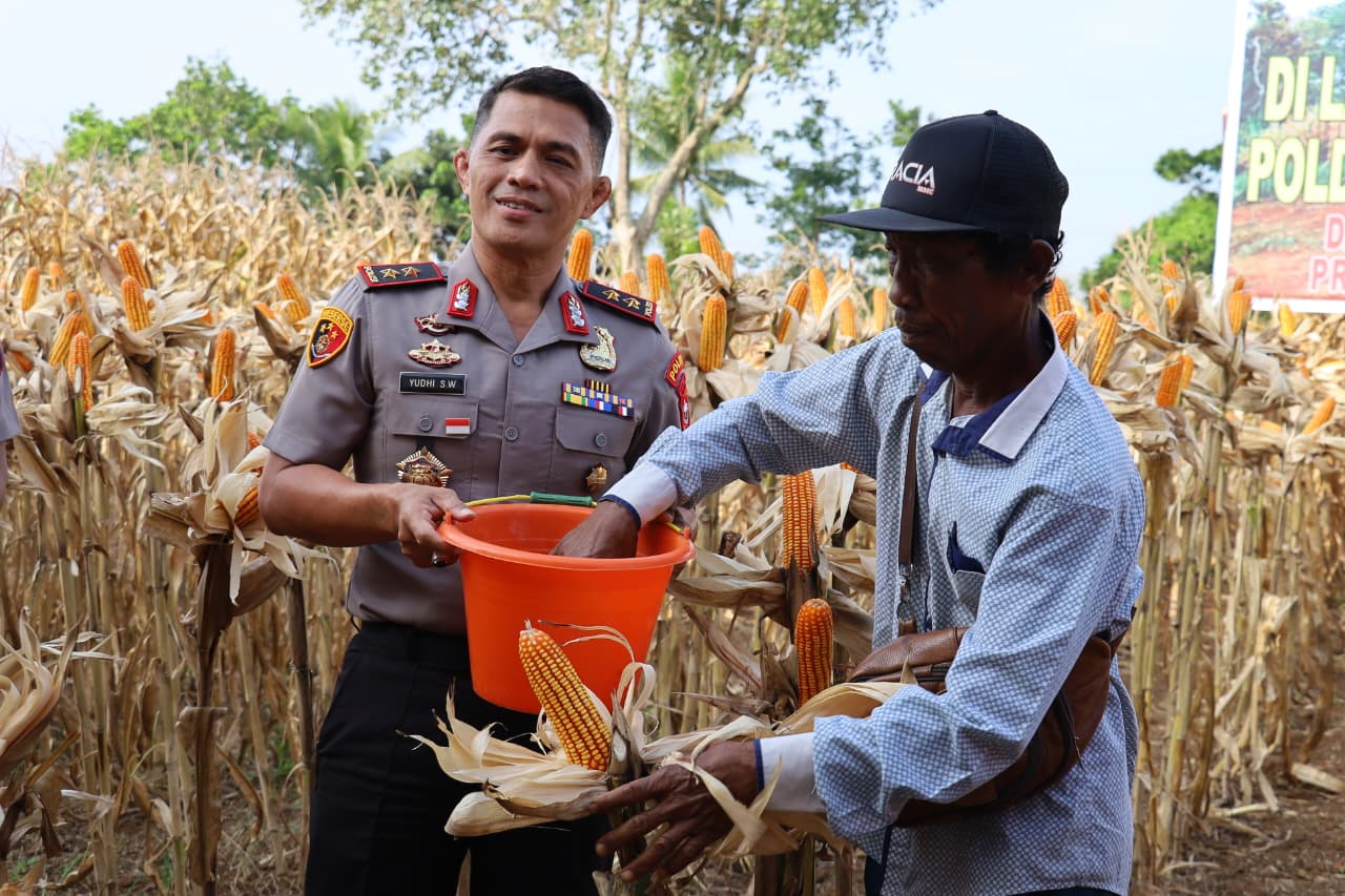 Kapolda Bengkulu Panen Jagung di Lahan Bidpropam, Sekaligus Tebar Bibit Ikan untuk Ketahanan Pangan