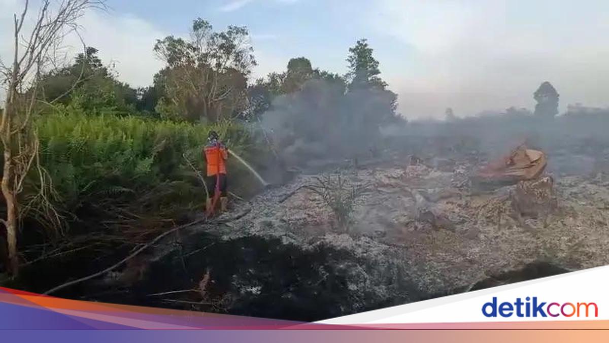 Pemprov Kalteng Aktifkan Posko Darurat Karhutla Selama 158 Hari, Mulai 26 Mei hingga 31 Oktober 2026